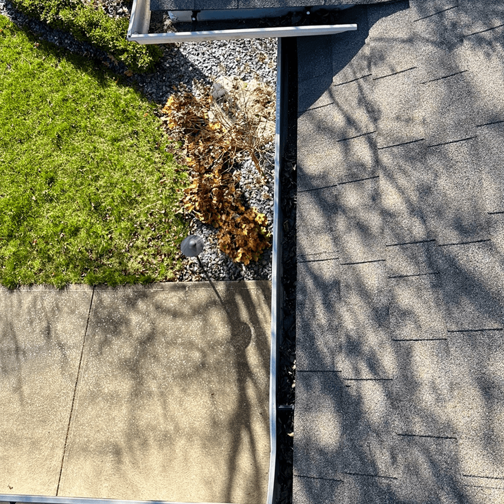 Before gutter cleaning - clogged and dirty gutters